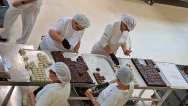 {{brizy_dc_image_alt imageSrc=